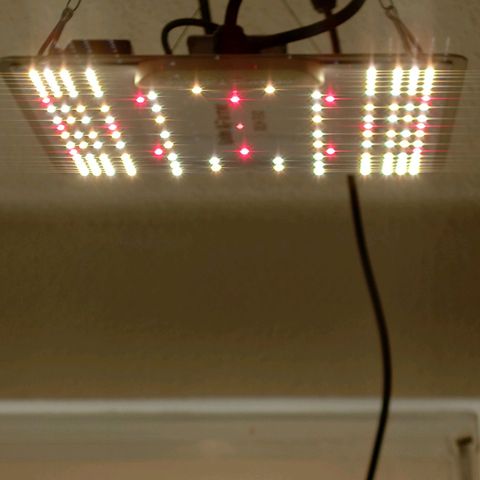 Dosi growlog timeline photo