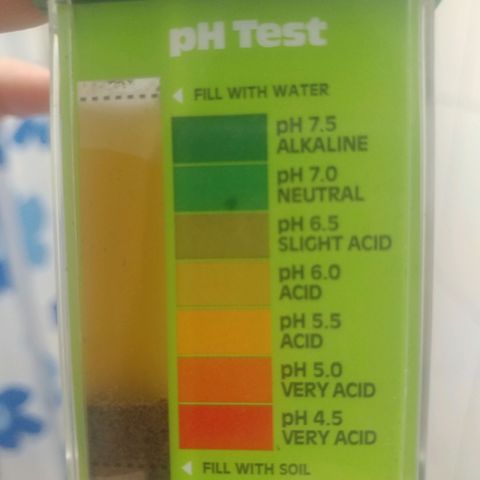 Unknown strain growlog photo: Ph test on soil
