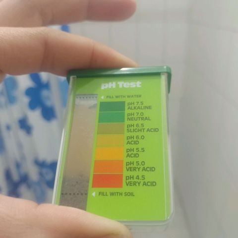 Unknown strain growlog photo: Ph test on soil