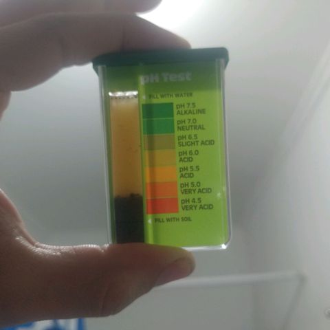 Unknown strain growlog photo: Ph test on soil