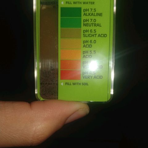 Unknown strain growlog photo: Ph test on soil