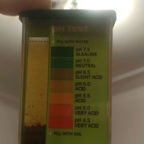 Unknown strain growlog photo: Ph test