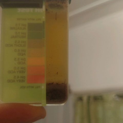 Unknown strain growlog photo: Ph test