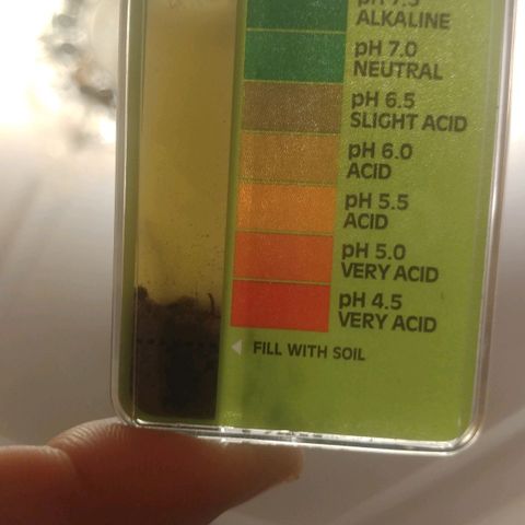 Unknown strain growlog photo: Ph test 1 day after adding wood ash. 