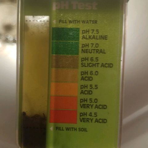 Unknown strain growlog photo: Ph test 1 day after adding wood ash. 