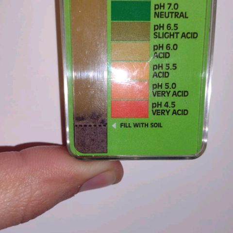 Unknown strain growlog photo: Ph test