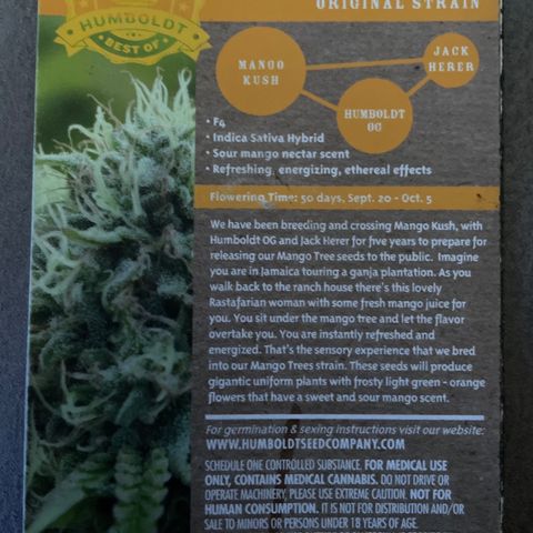 Humboldt Mango Trees growlog timeline photo