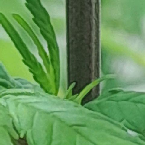 6 DE ENERO growlog timeline photo