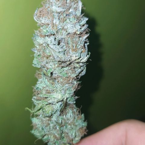 Double Cookies growlog timeline photo