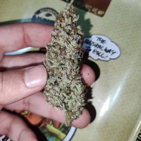 Gorilla Ghost growlog photo: Flor entera: se perciben aromas tipo mango, menta, pino, lavanda un toque cítrico tipo lima. 

En boca en seco,se siente muy "perfume" predomina la lavanda y sabores dulces y el  pino, aparecen además unas nota de tierra húmeda y sus pinceladas cítricas, muy rico. 