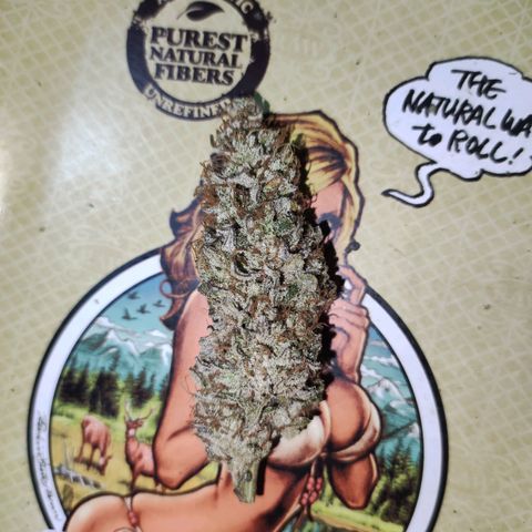 Gorilla Ghost growlog photo: Flor entera: se perciben aromas tipo mango, menta, pino, lavanda un toque cítrico tipo lima. 

En boca en seco,se siente muy "perfume" predomina la lavanda y sabores dulces y el  pino, aparecen además unas nota de tierra húmeda y sus pinceladas cítricas, muy rico. 