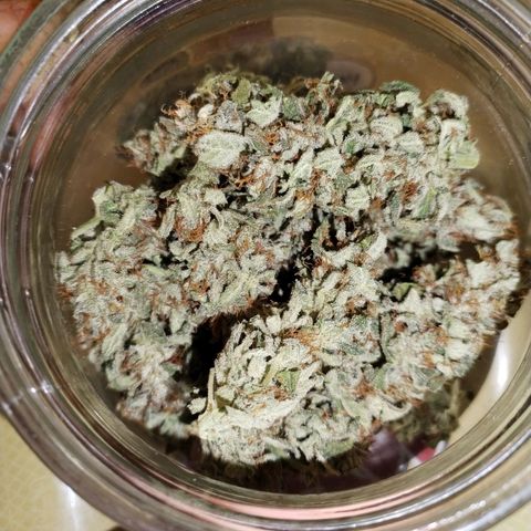 Cream Mandarine F1 Fast Version growlog timeline photo