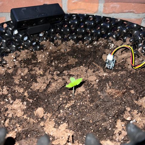 Auto Northern Lights growlog timeline photo