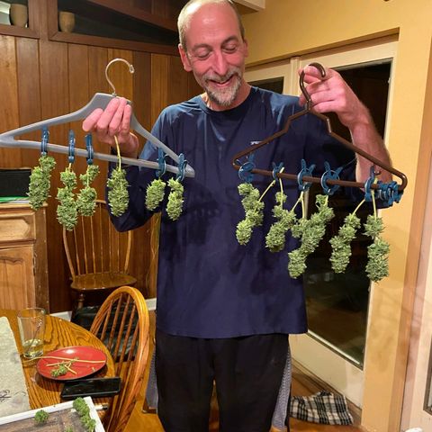 Nurf Mystery Tree growlog photo: Harvest!