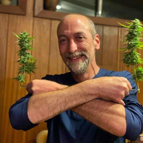 Nurf Mystery Tree growlog photo: Harvest!