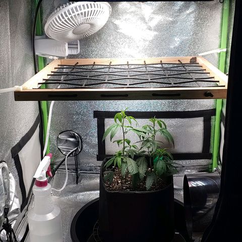 PB&J growlog timeline photo