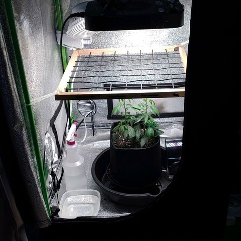 PB&J growlog timeline photo