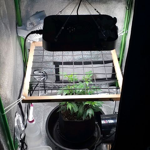 PB&J growlog timeline photo