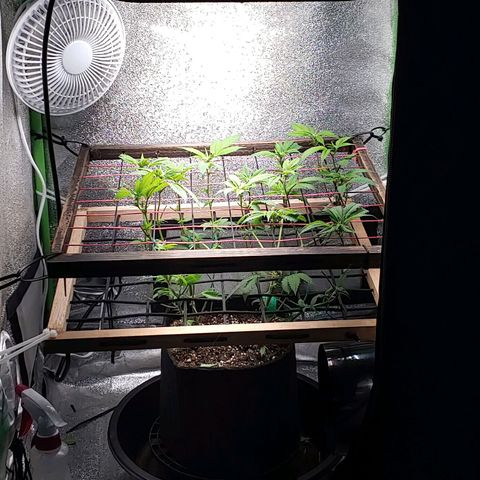 PB&J growlog timeline photo