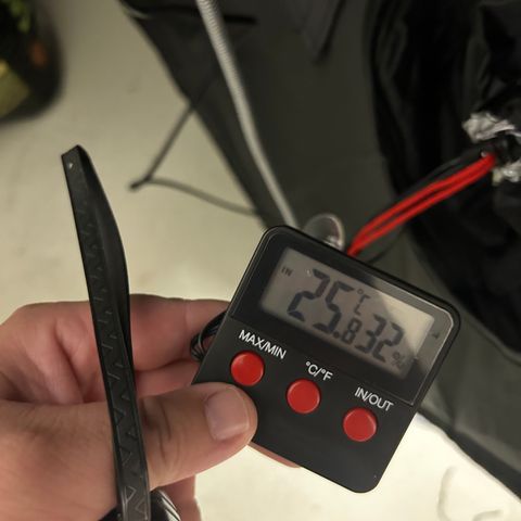 Six Shooters growlog timeline photo