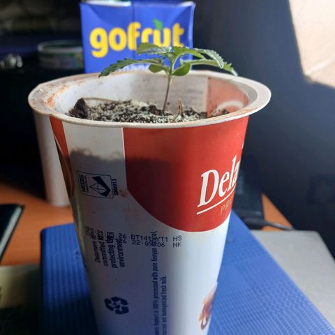 GREEN-O-MATIC growlog timeline photo
