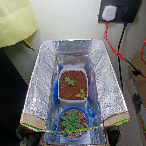 GREEN-O-MATIC growlog photo: The overview. Took a minute from taking pictures for green o matic 