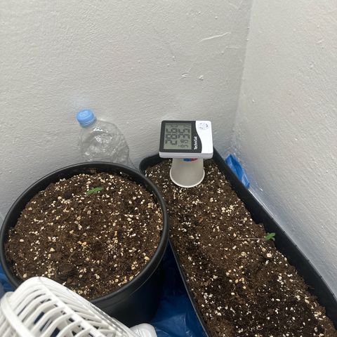 Mix Pack Auto RF3 growlog timeline photo