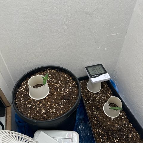 Mix Pack Auto RF3 growlog timeline photo