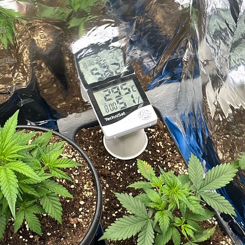 Mix Pack Auto RF3 growlog timeline photo