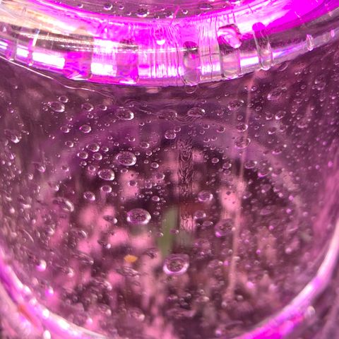 Pizzart 2 growlog photo: Back under the dome