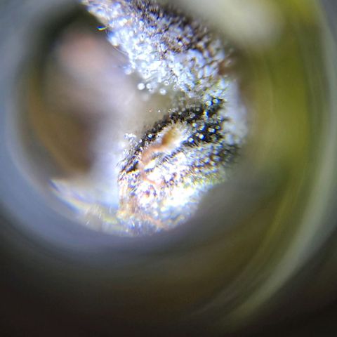 +Speed Auto growlog timeline photo
