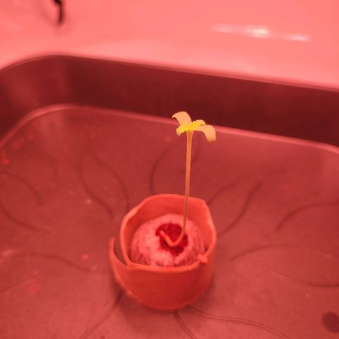 Mr PP growlog timeline photo