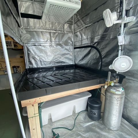 Auto Run 1 growlog photo: Garden Upgrade!!!