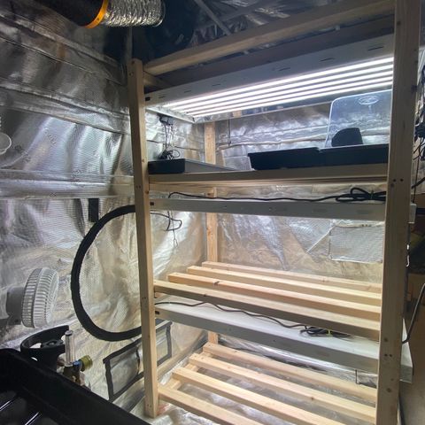 Auto Run 1 growlog photo: Garden Upgrade!!!