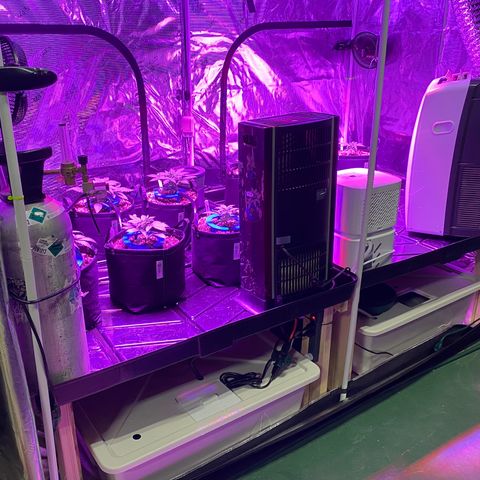Auto Run 1 growlog photo: Garden Upgrade!!!