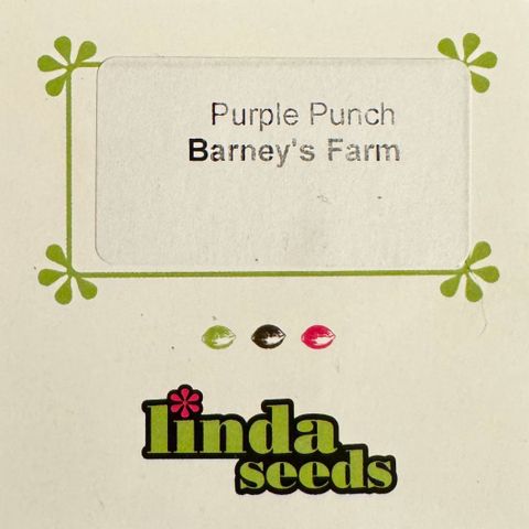 Purple Punch #1 growlog photo