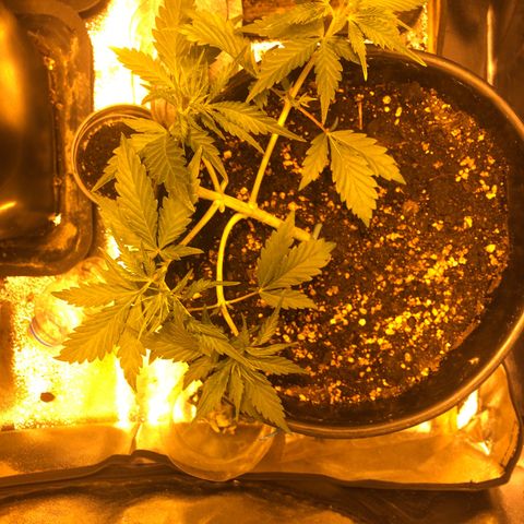 Hindu Kush growlog timeline photo