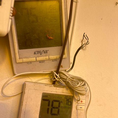 R1T1 growlog timeline photo
