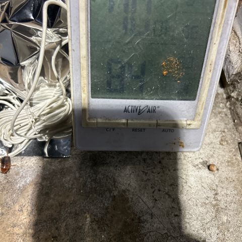 R1T1 growlog timeline photo