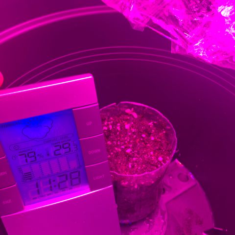 Unbekannte Sorte growlog timeline photo
