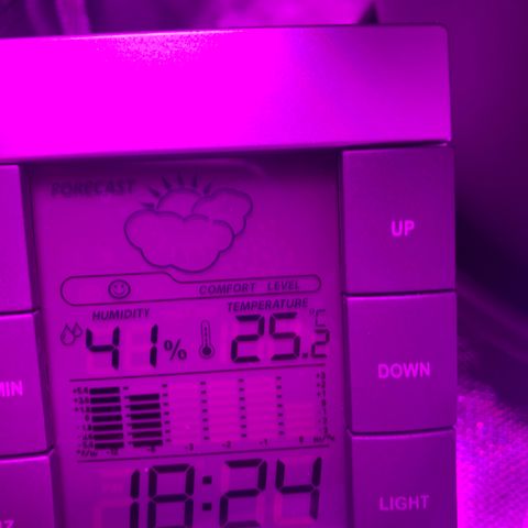 Unbekannte Sorte growlog timeline photo