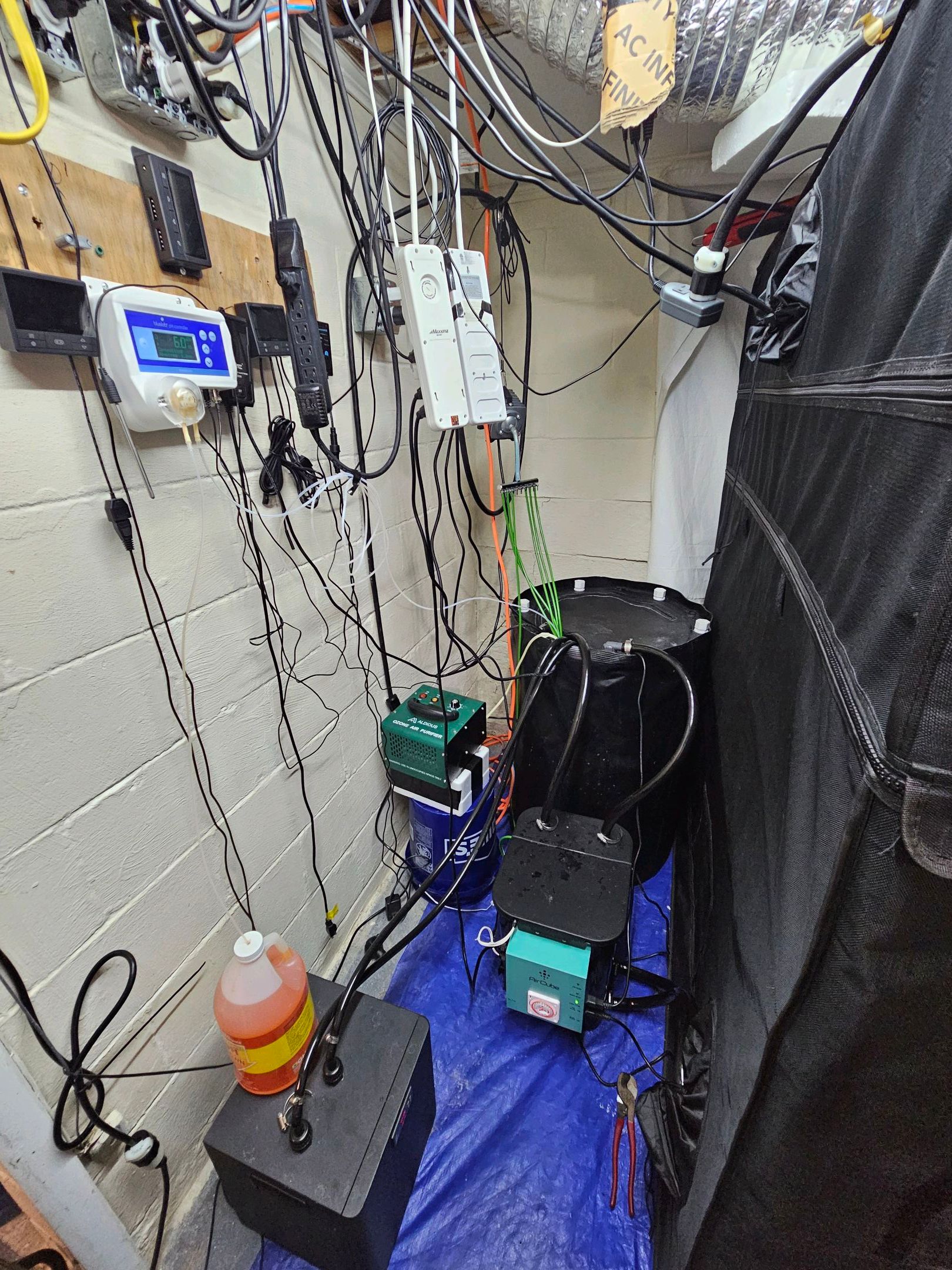 Ricky Bobby #2 (LIT) growlog photo 14