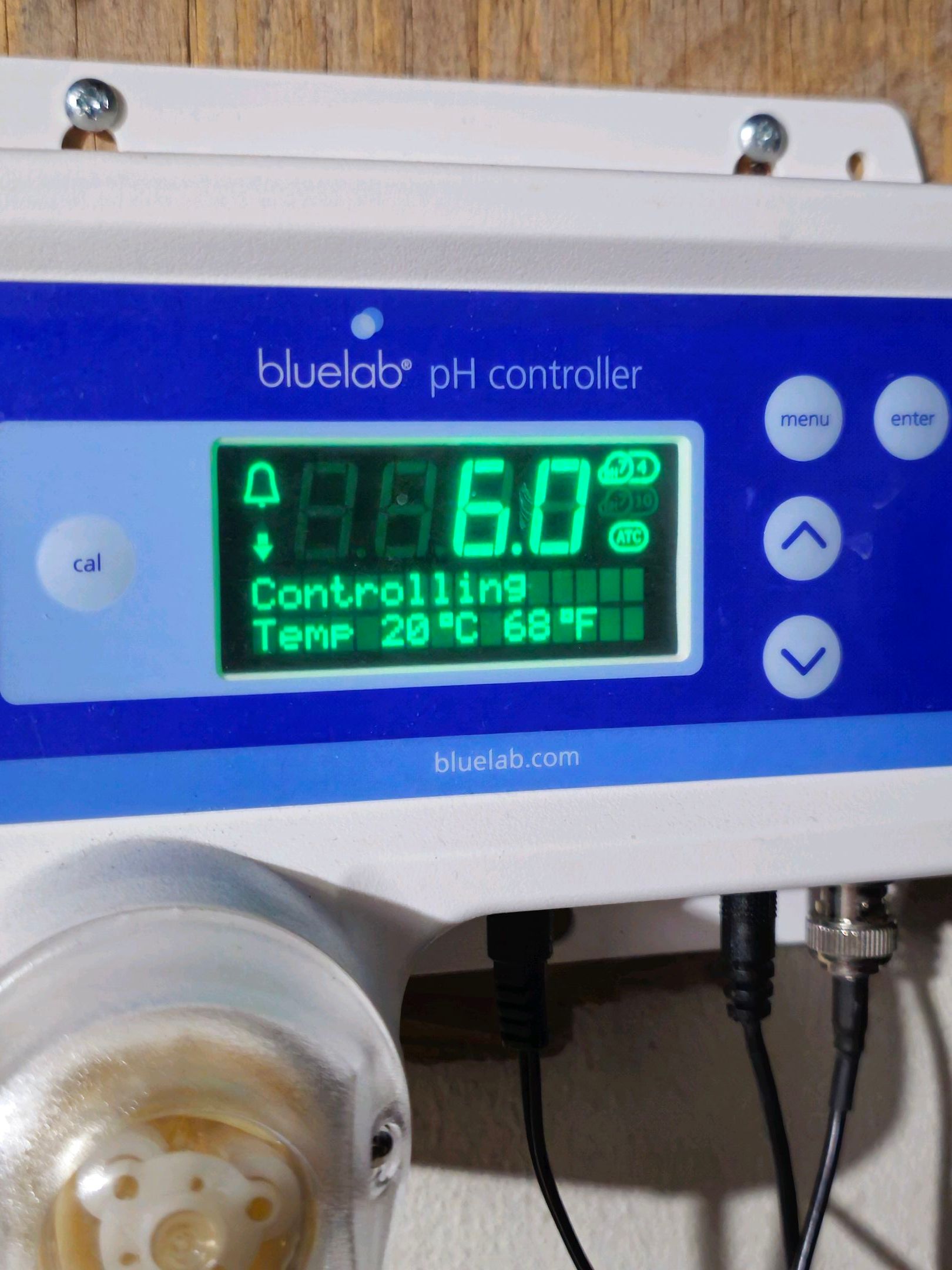 Ricky Bobby #2 (LIT) growlog photo 32