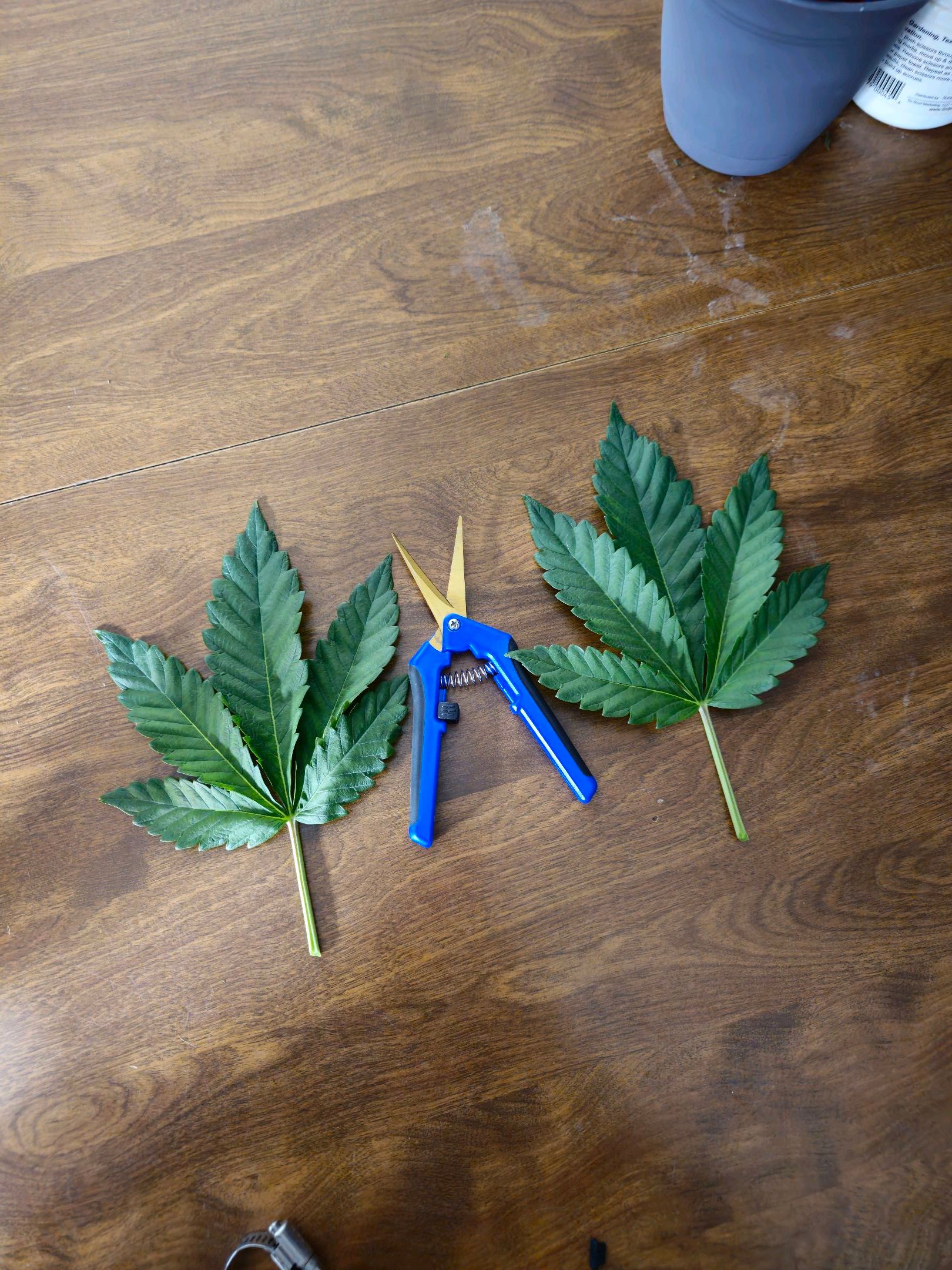 Ricky Bobby #2 (LIT) growlog photo 43