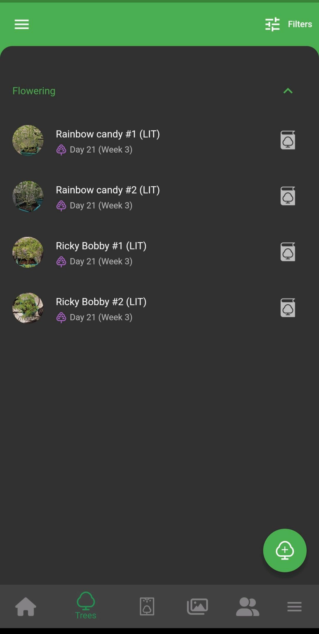 Ricky Bobby #2 (LIT) growlog photo 182