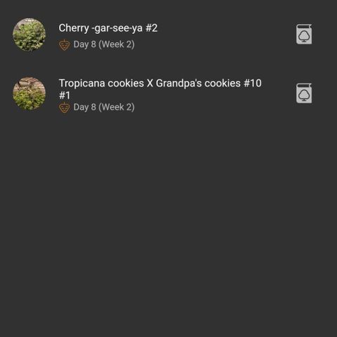 timeline