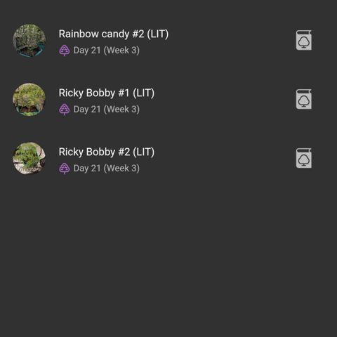 timeline