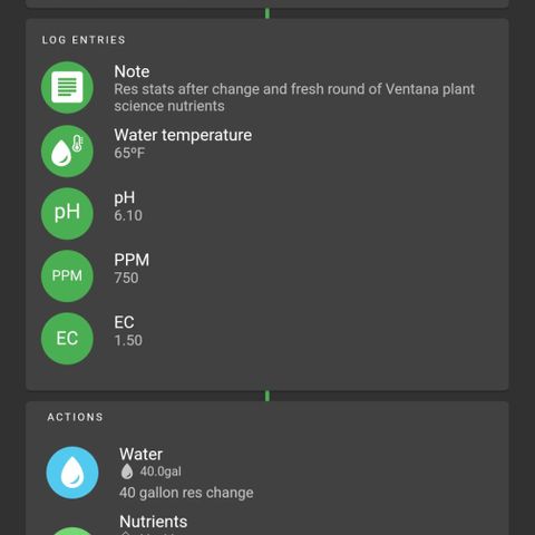 timeline