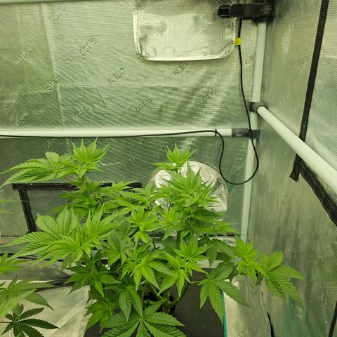 Hate Crime #3 growlog timeline photo