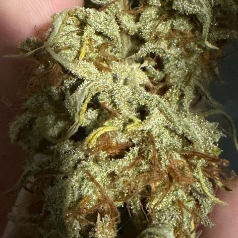 Auto Think Big - DP growlog timeline photo
